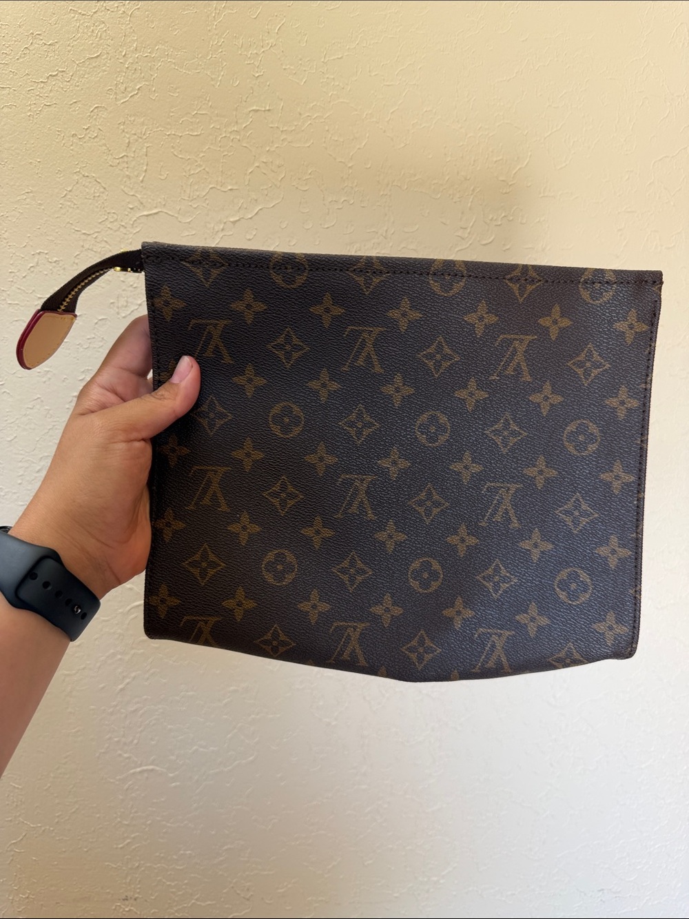 Louis Vuitton Monogram CanvasPouch